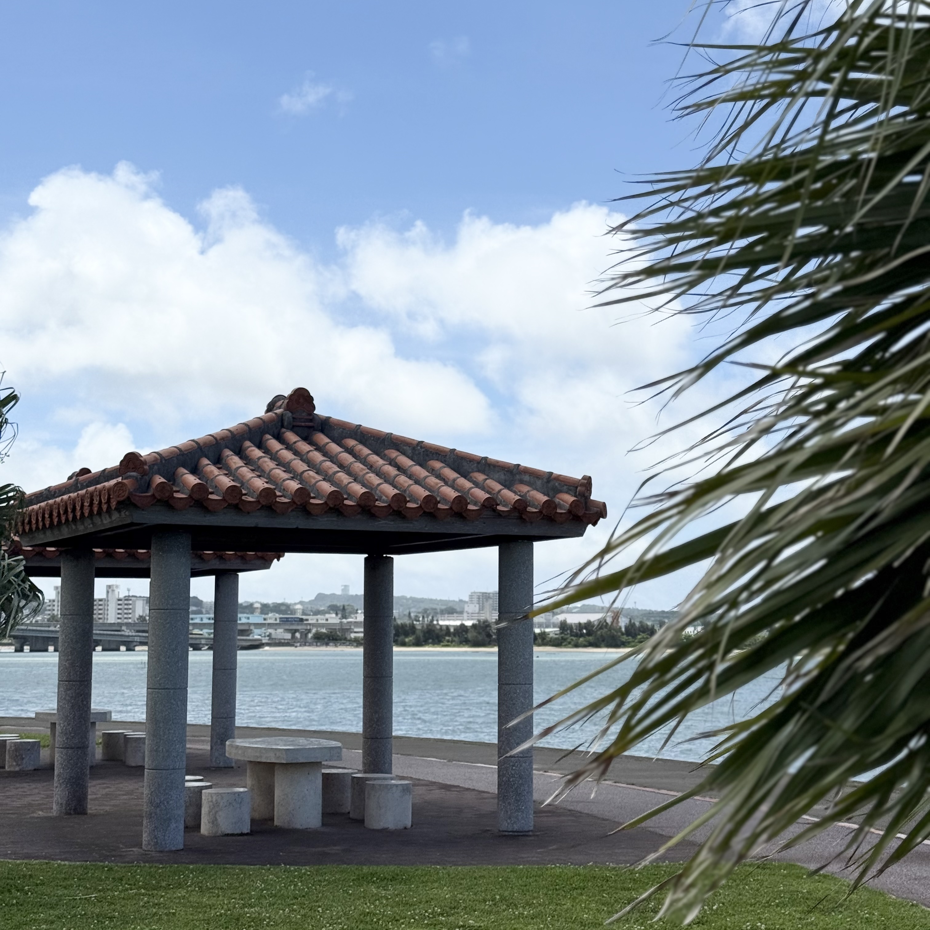 ヤシの木ロードの風景
