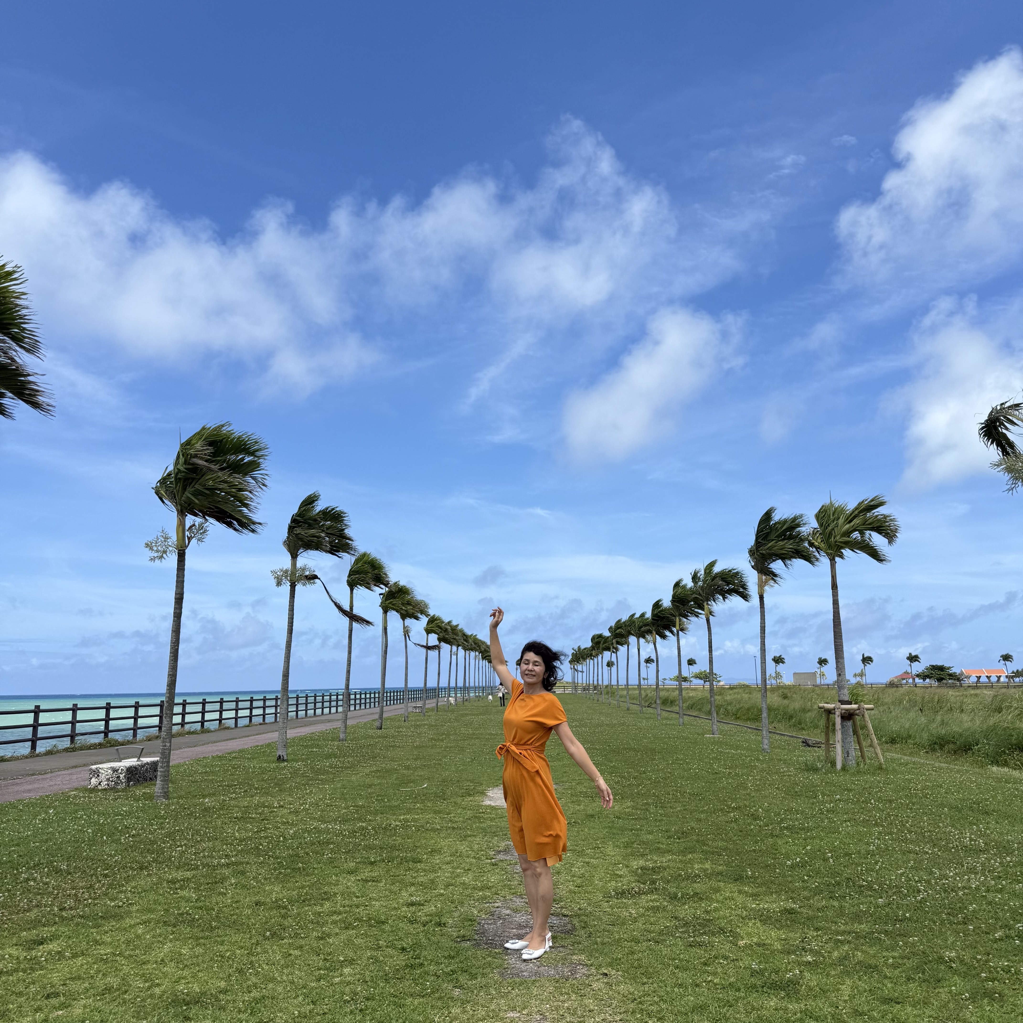 ヤシの木ロードの風景