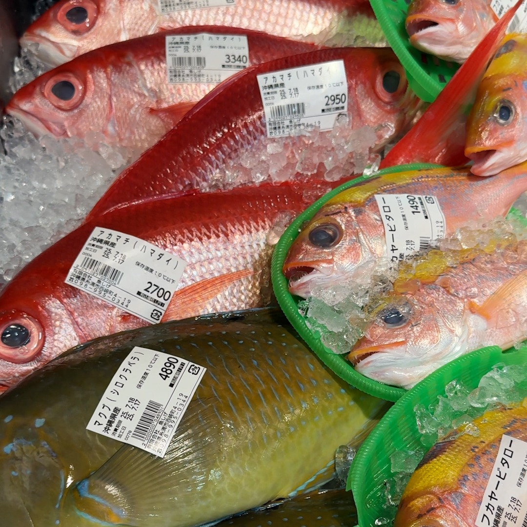 糸満漁業協同組合・お魚センター