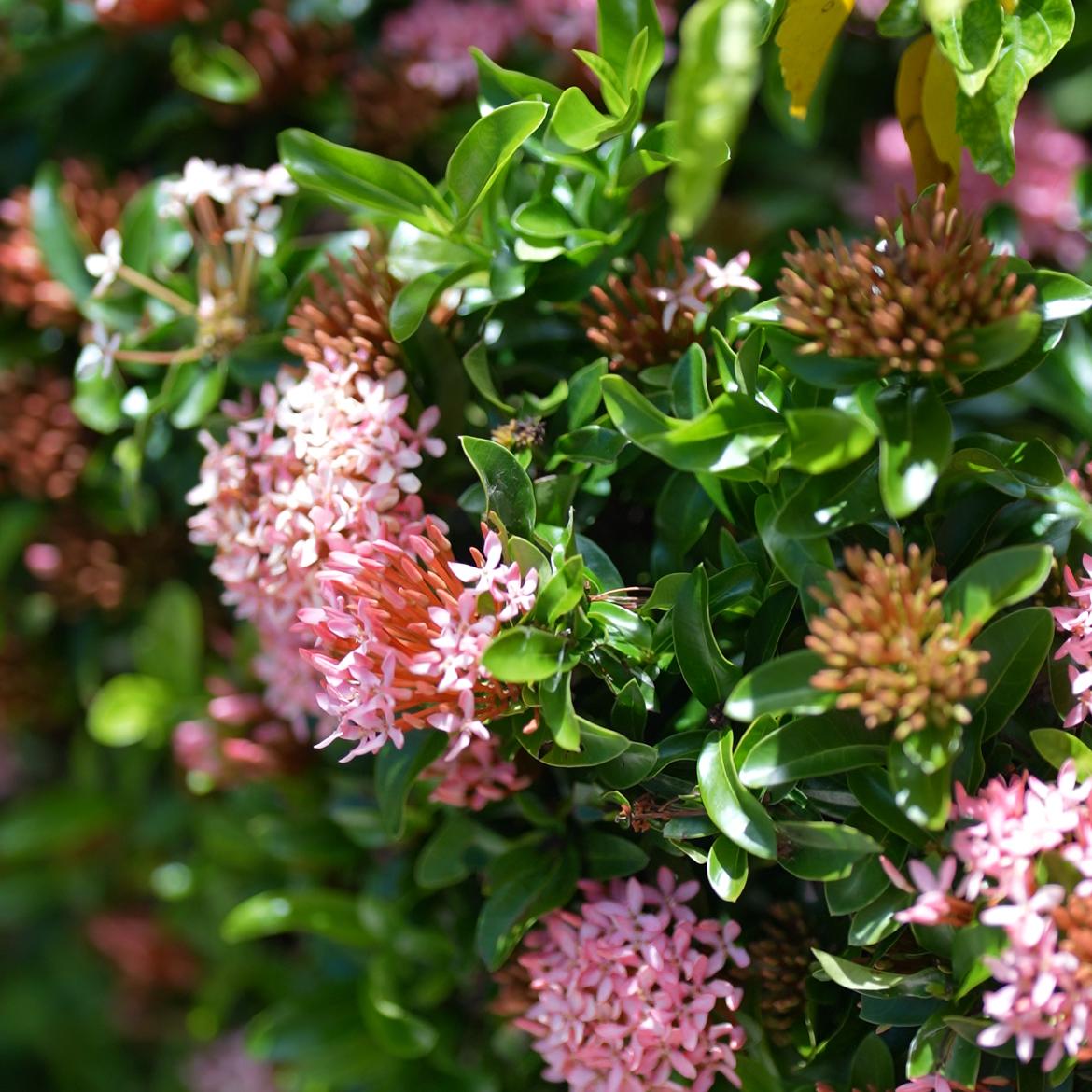 Cafe&Gallery うみと