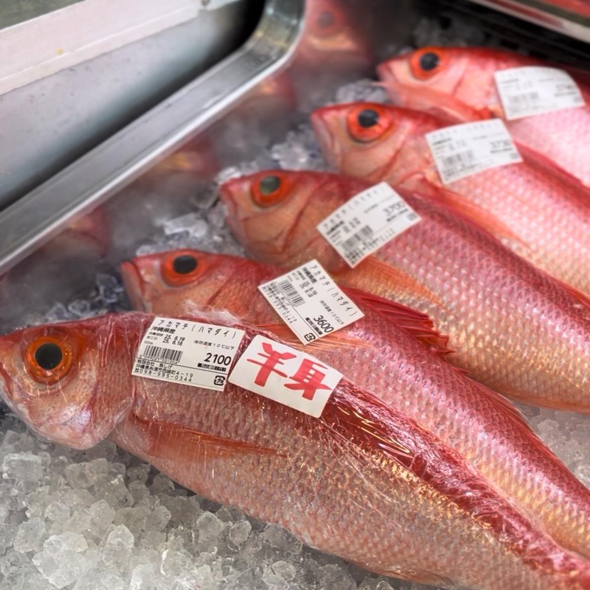 糸満漁業協同組合 糸満お魚センター