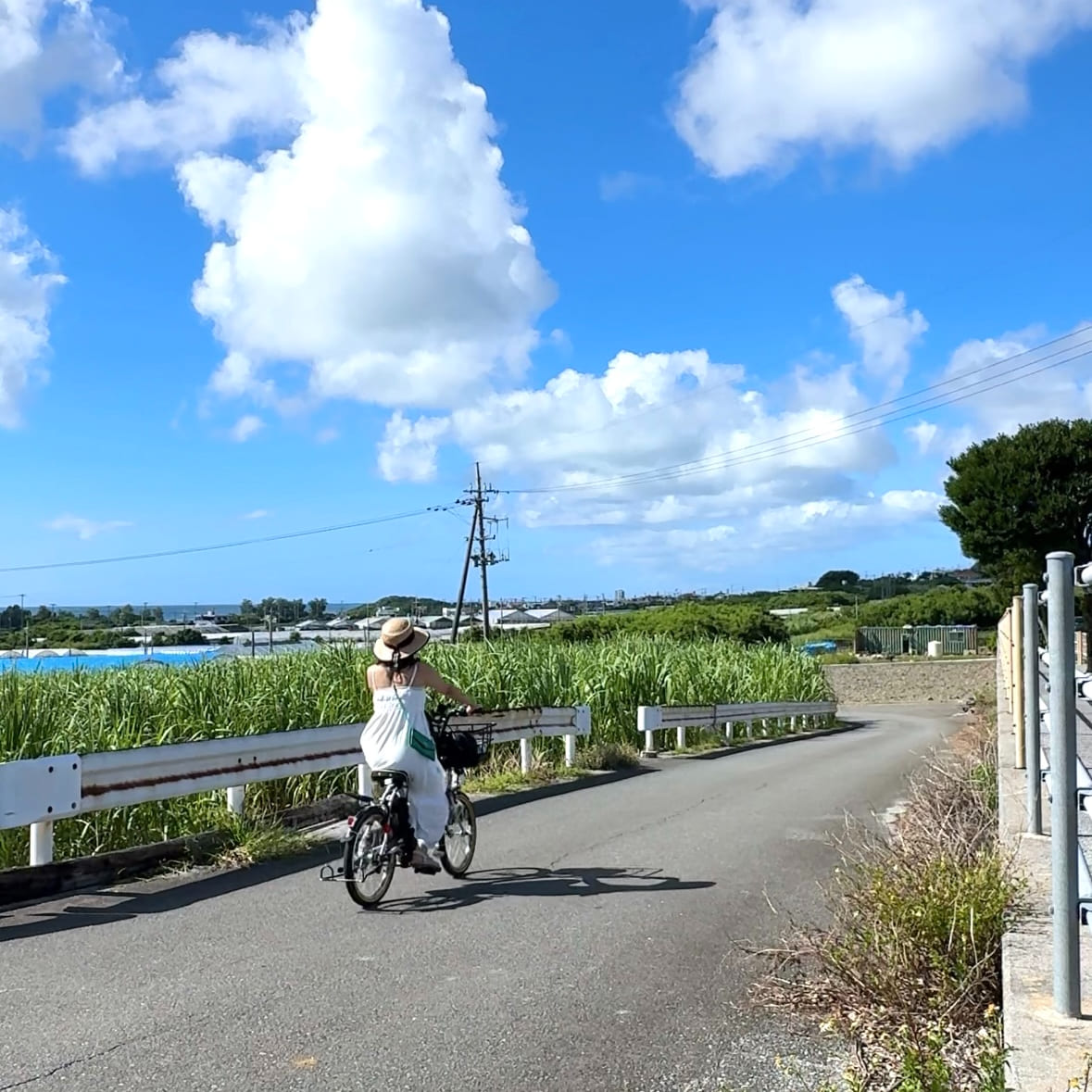 琉球ホテル&リゾート名城ビーチ内　レンタサイクルの風景