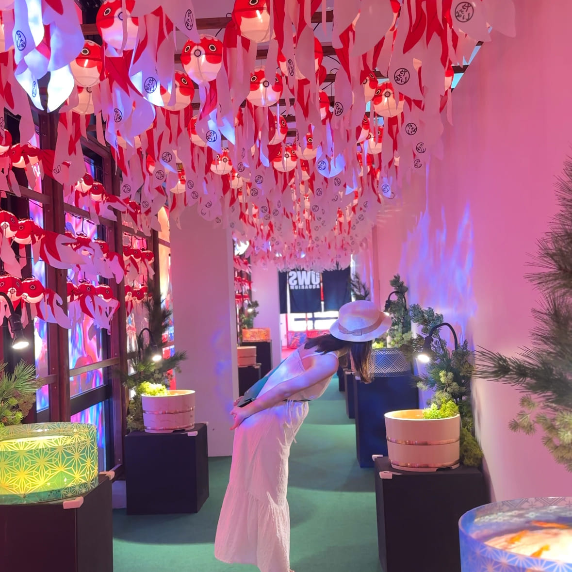 沖縄アウトレットモールあしびなー内　沖縄金魚ミュージアムの風景