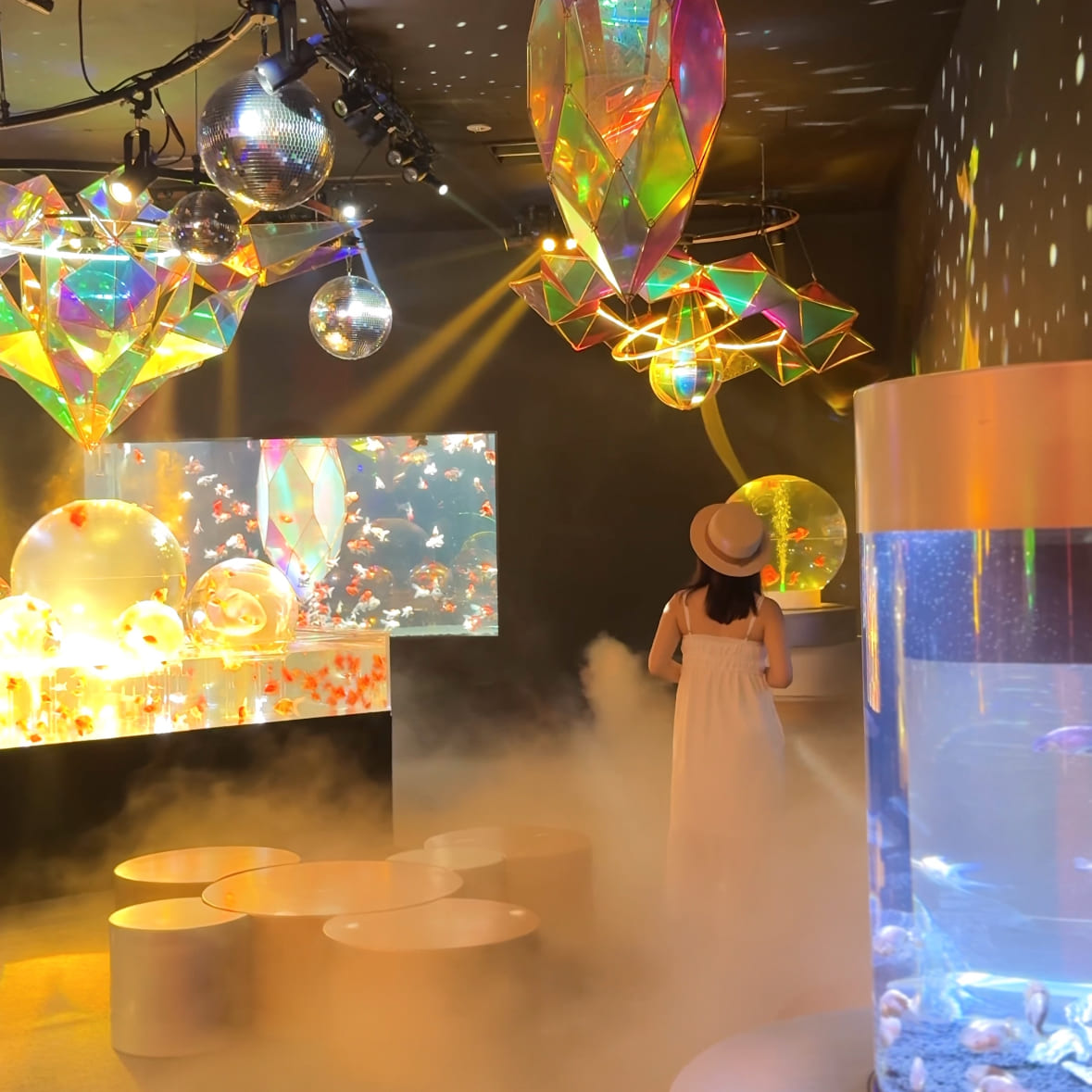 沖縄アウトレットモールあしびなー内　沖縄金魚ミュージアムの風景