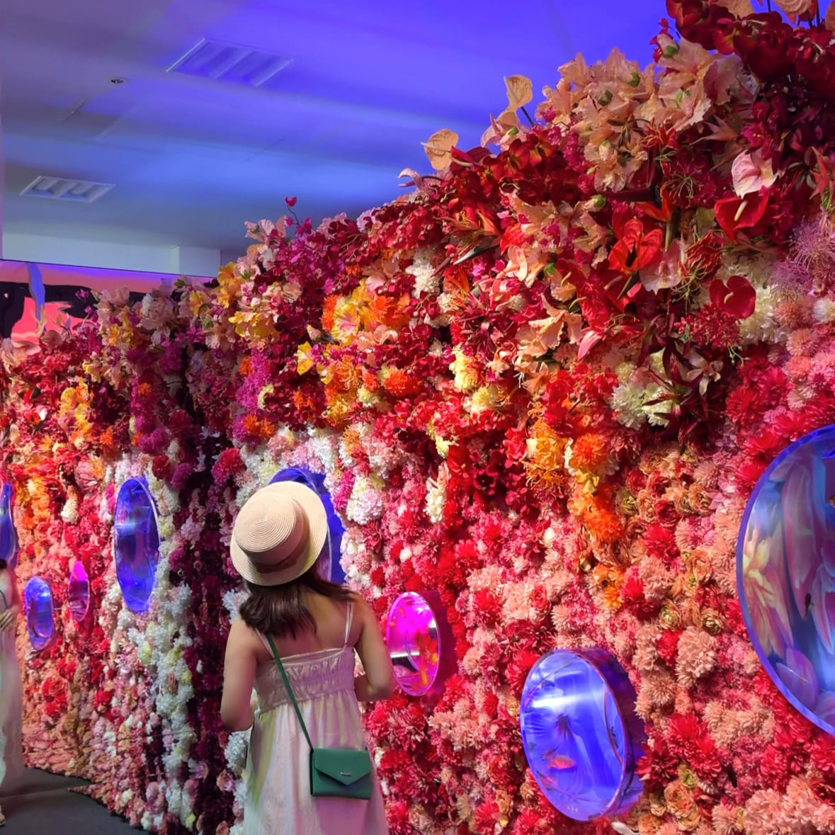 沖縄アウトレットモールあしびなー内　沖縄金魚ミュージアムの風景