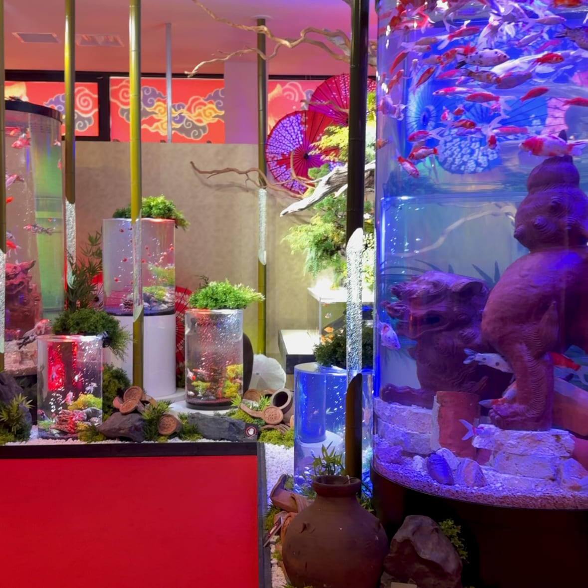 沖縄アウトレットモールあしびなー内　沖縄金魚ミュージアムの風景