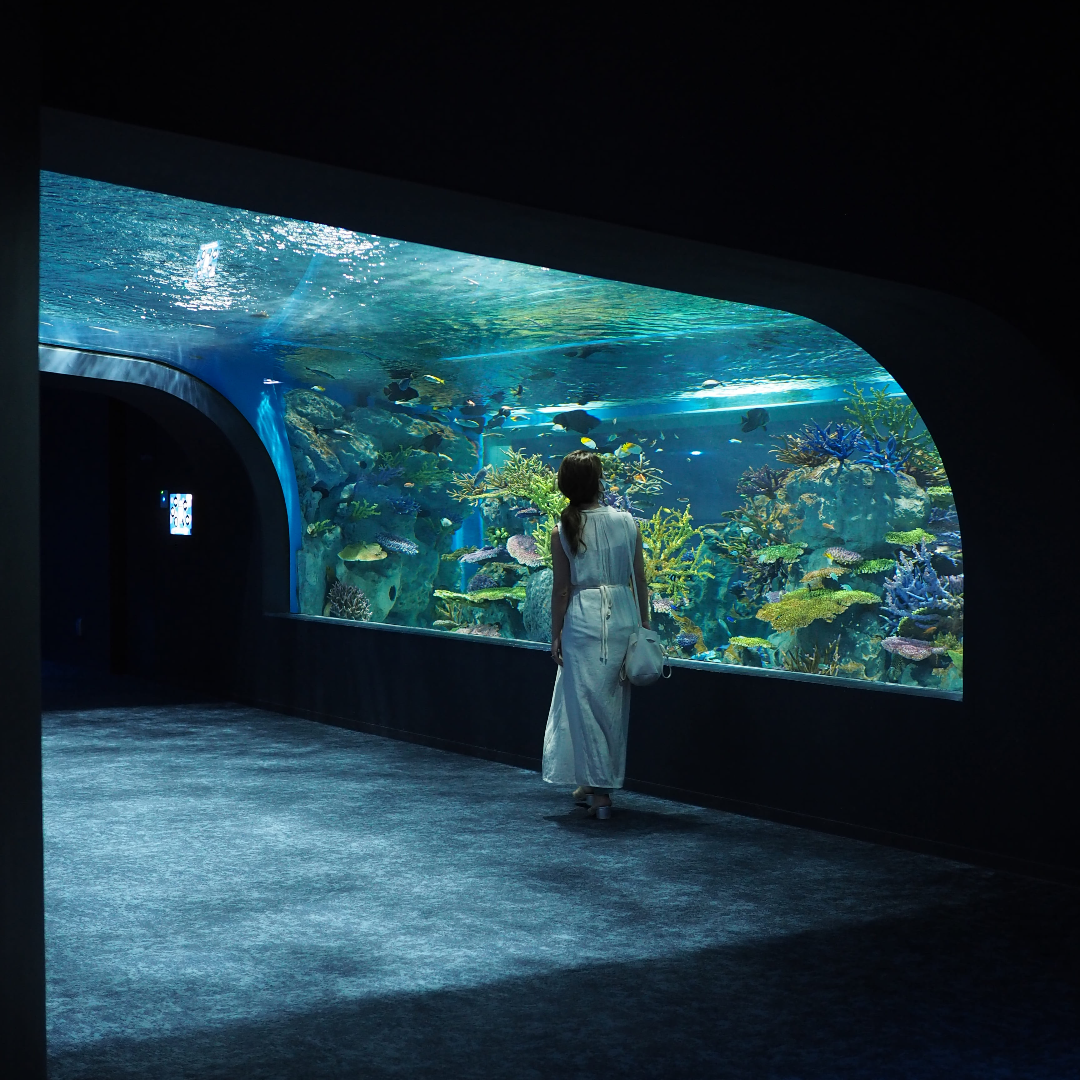 DMMかりゆし水族館